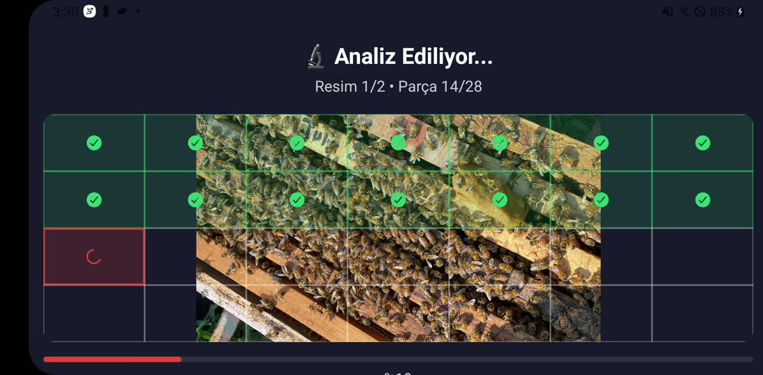 Varroa zählen per Foto – Analyse