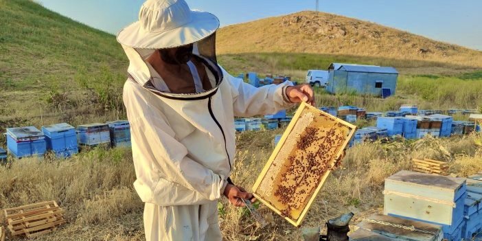 The deadline for beekeeping support has been extended The deadline for applications for…