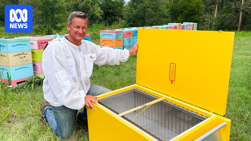 Heat could help kill deadly bee parasite varroa mite