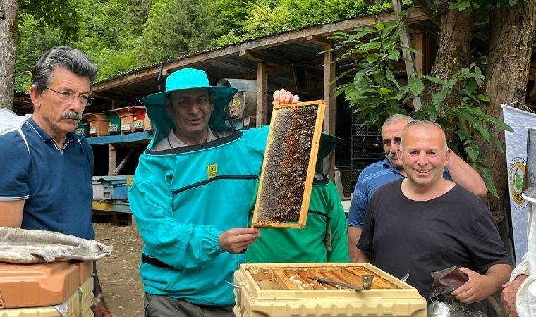 Il a quitté sa carrière de journaliste de 25 ans pour se lancer dans l'apiculture Dans la…