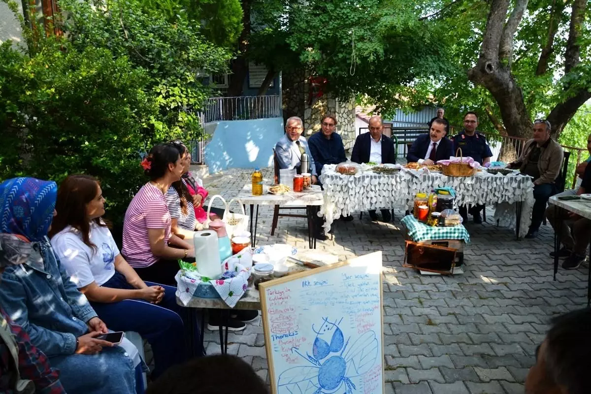 The beekeeping course organized for women in the Edremit district of Balıkesir, in the context…