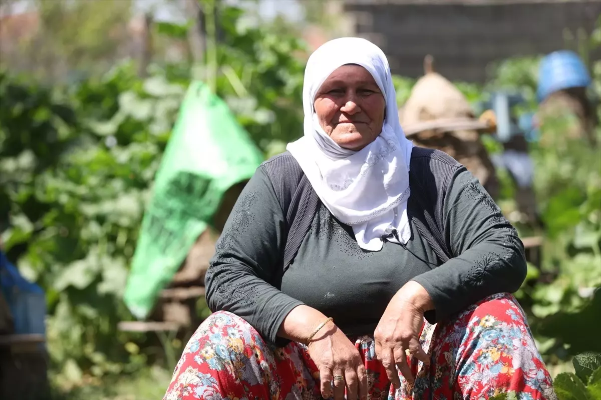 Kırklareli'de Arıcılık Mesaisi