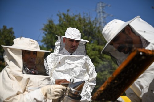 100 New Beekeepers Received Their Certificates in Bornova With the Beekeeping Course organized…