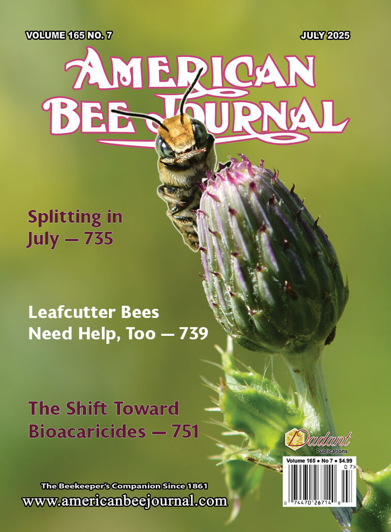 In Beekeeping and in Life, Few Things Stay the Same