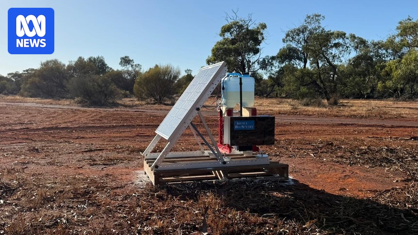 Real time AI monitoring of bee hives hope to stop destructive pest