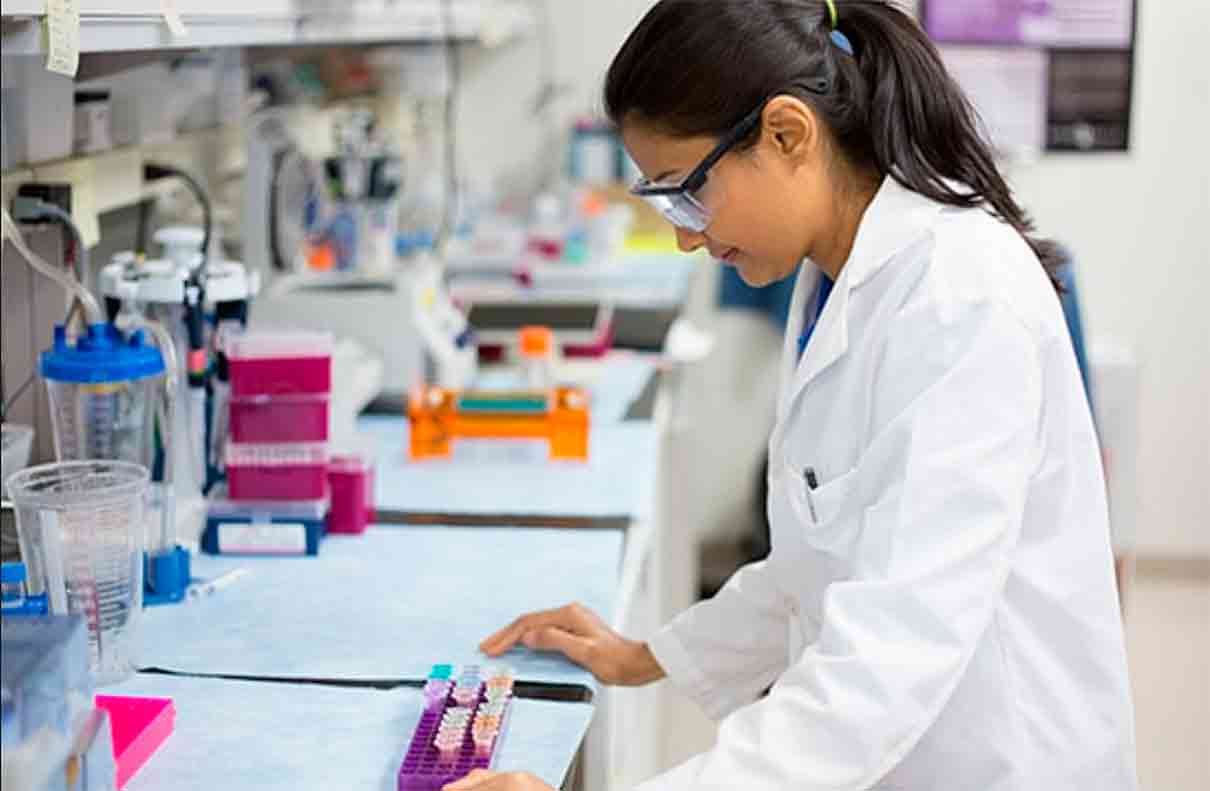 Inteligencia artificial contra el fraude en la miel: una nueva técnica para detectar engaños