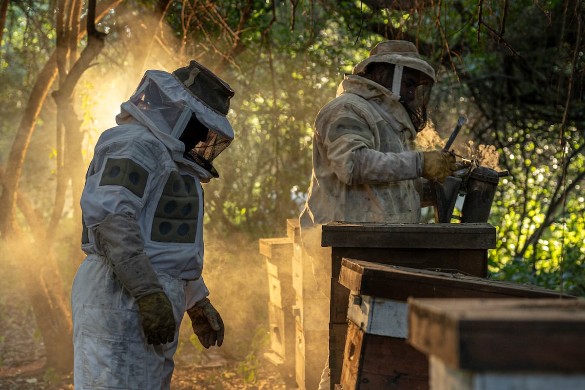 Irupé Tentorio Impenetrable chaqueño (Argentinië) Om het ecosysteem van de Gran Chaco binnen…