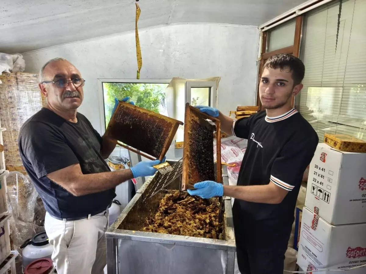 Çemişgezek'te Mert Yıldırım, arıcılık yaparak Mütercim ve Tercümanlık Bölümü'nü kazandı.