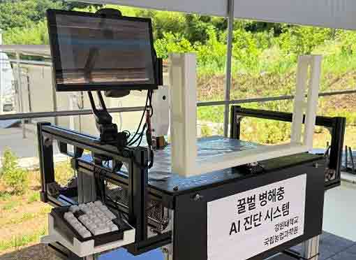 BeeSion: un sistema de detección de varroa con inteligencia artificial en segundos