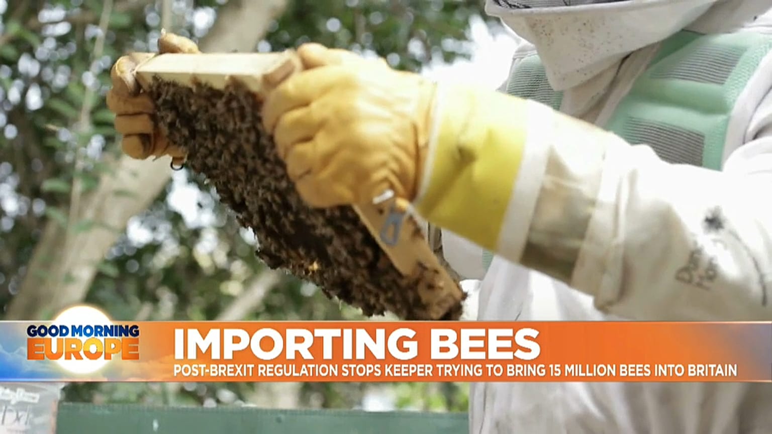 Post-Brexit-Regeln halten europäische Bienen aus Großbritannien fern Ein britischer Imker…