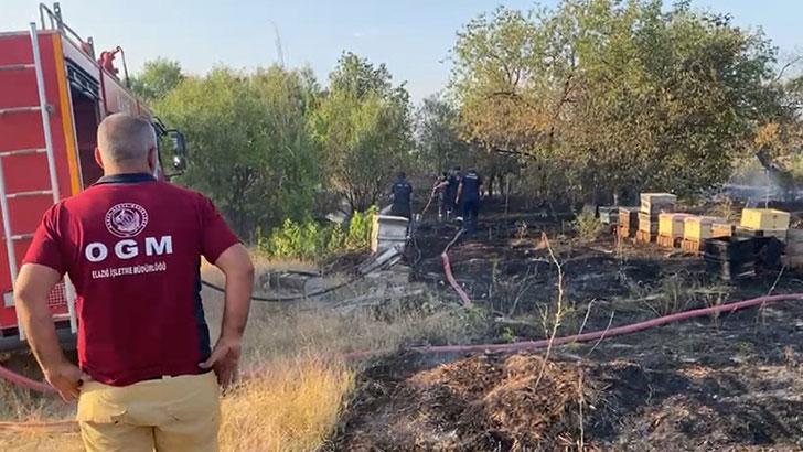 Elazığ’da anız yangını; arı kovanları ve ağaçlar zarar gördü