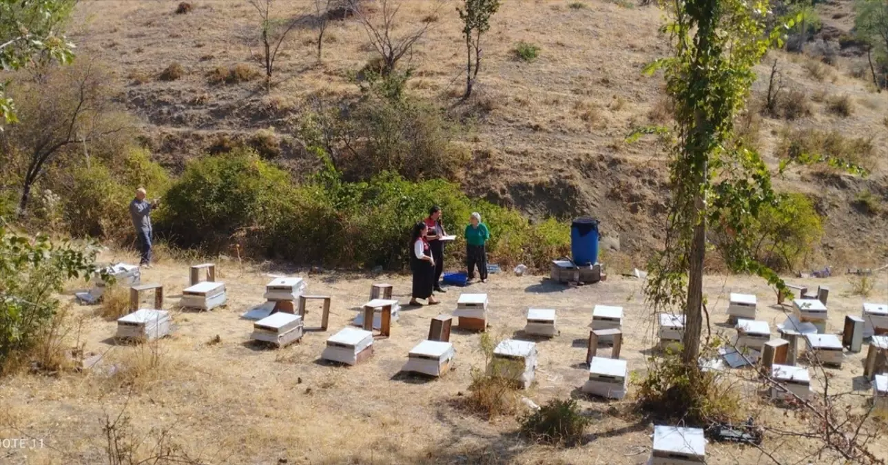 Current Hive Identification Conducted for Beekeepers 08.09.2025 20:50 Subscribe The number of…