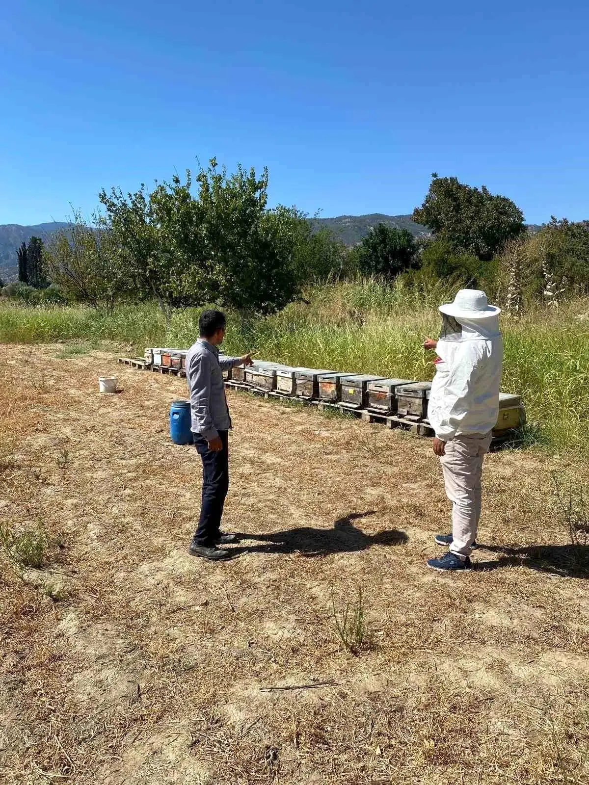 In the Buharkent district of Aydın, studies were conducted to identify beehives in order to…