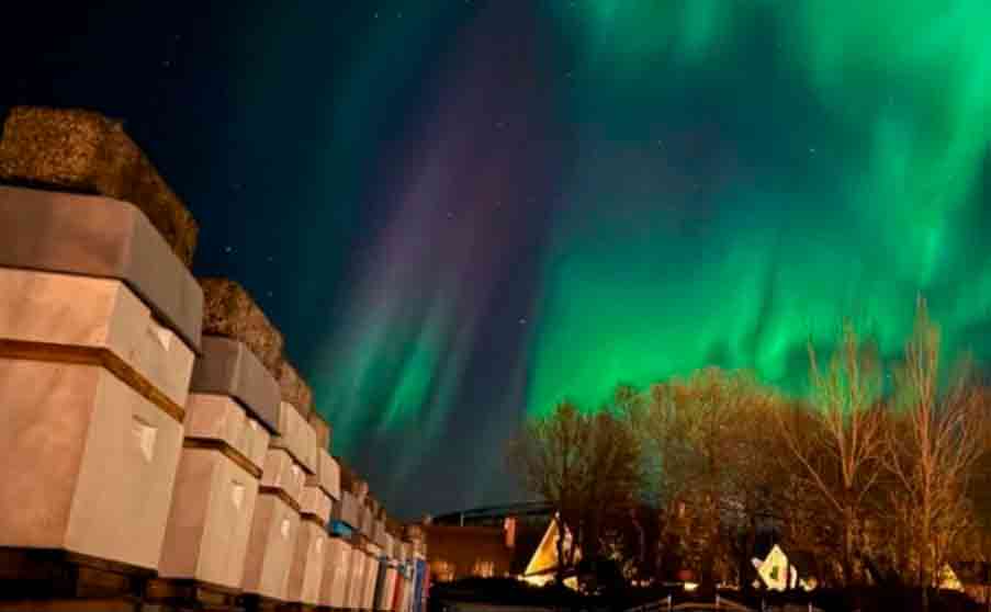 Guía de Apimondia 2025: todo lo que debes saber sobre la gran cita de la apicultura mundial