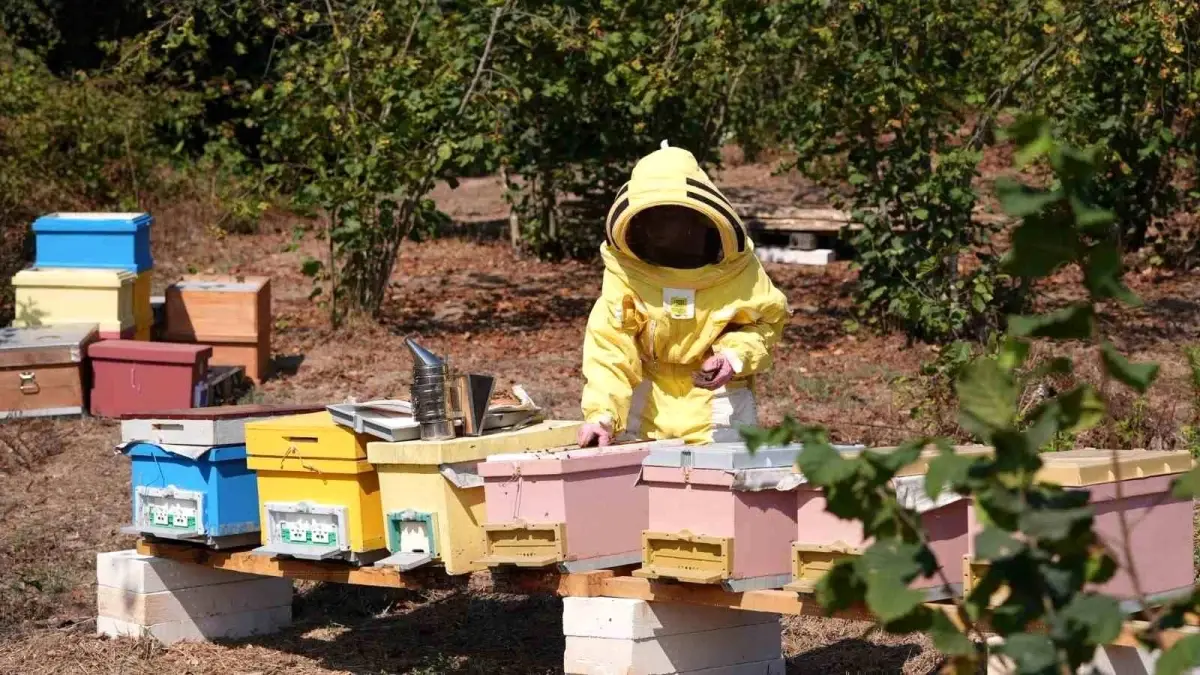 Düzce Üniversitesi arıcılık mezunları, FAO tarafından 'Gıda Kahramanı' seçilerek ödüllendirildi.
