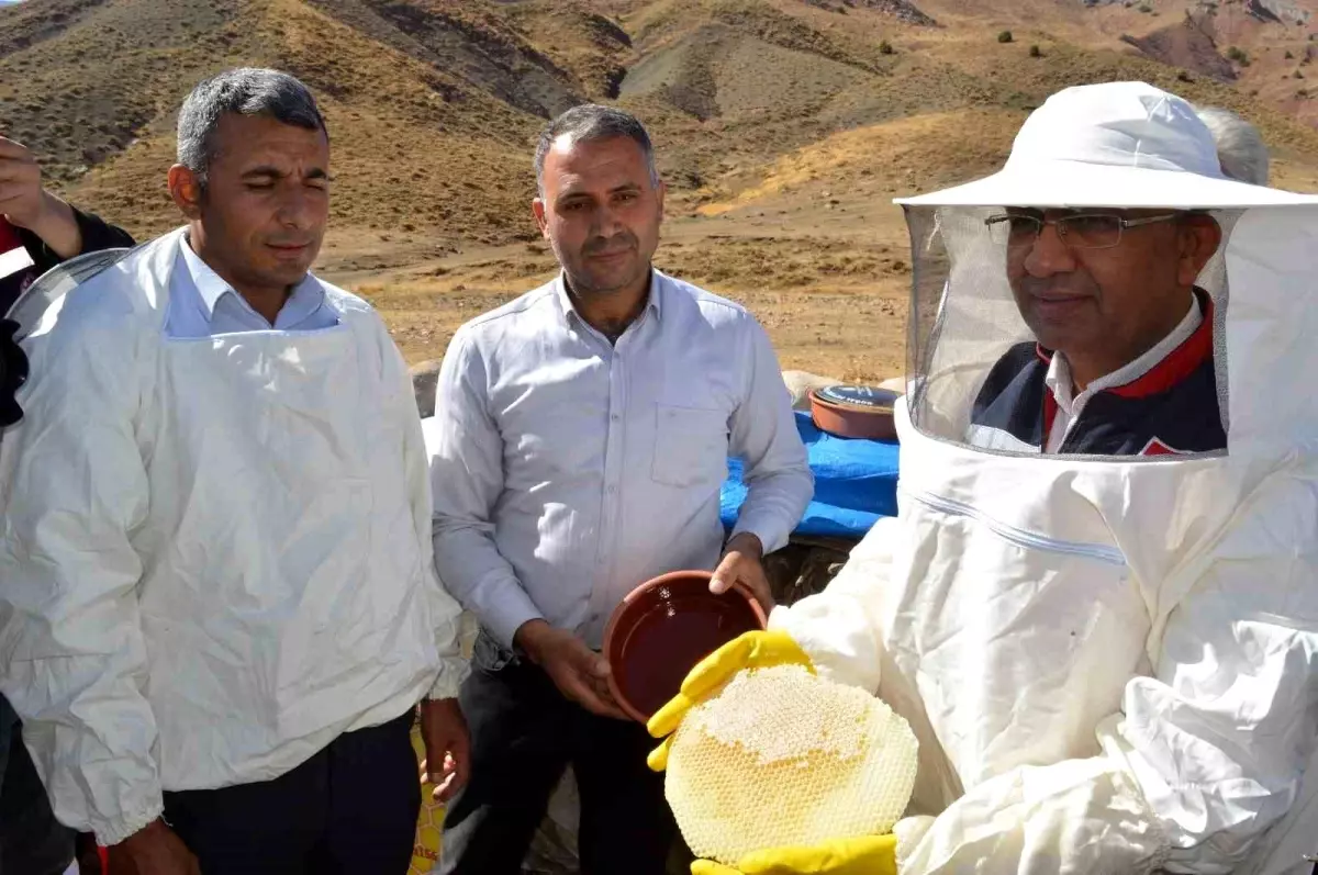 Siirt'in Pervari ilçesinde organik karakovan bal hasadı gerçekleştirildi, üretim artıyor.