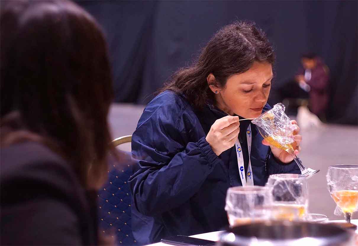 Apimondia 2025, dolandırıcılık nedeniyle dünyanın en iyi bal ödülünü vermeyecek İlk kez, Dünya…