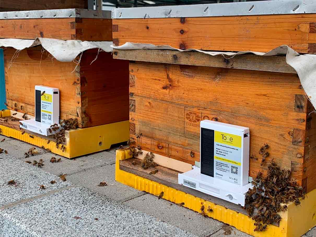 HiveMaster, varroa ile otomatik ve hassas bir şekilde mücadele etmek için bir cihaz İsrailli…