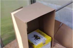 Bumble bees in greenhouse vegetable production