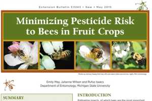 Het Minimaliseren van Pesticiderisico voor Bijen in Fruitgewassen Bestuivende insecten,…