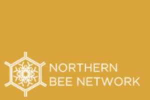Finden oder verkaufen Sie lokale Bienen mit dem Northern Bee Network Kaufen, verkaufen und…