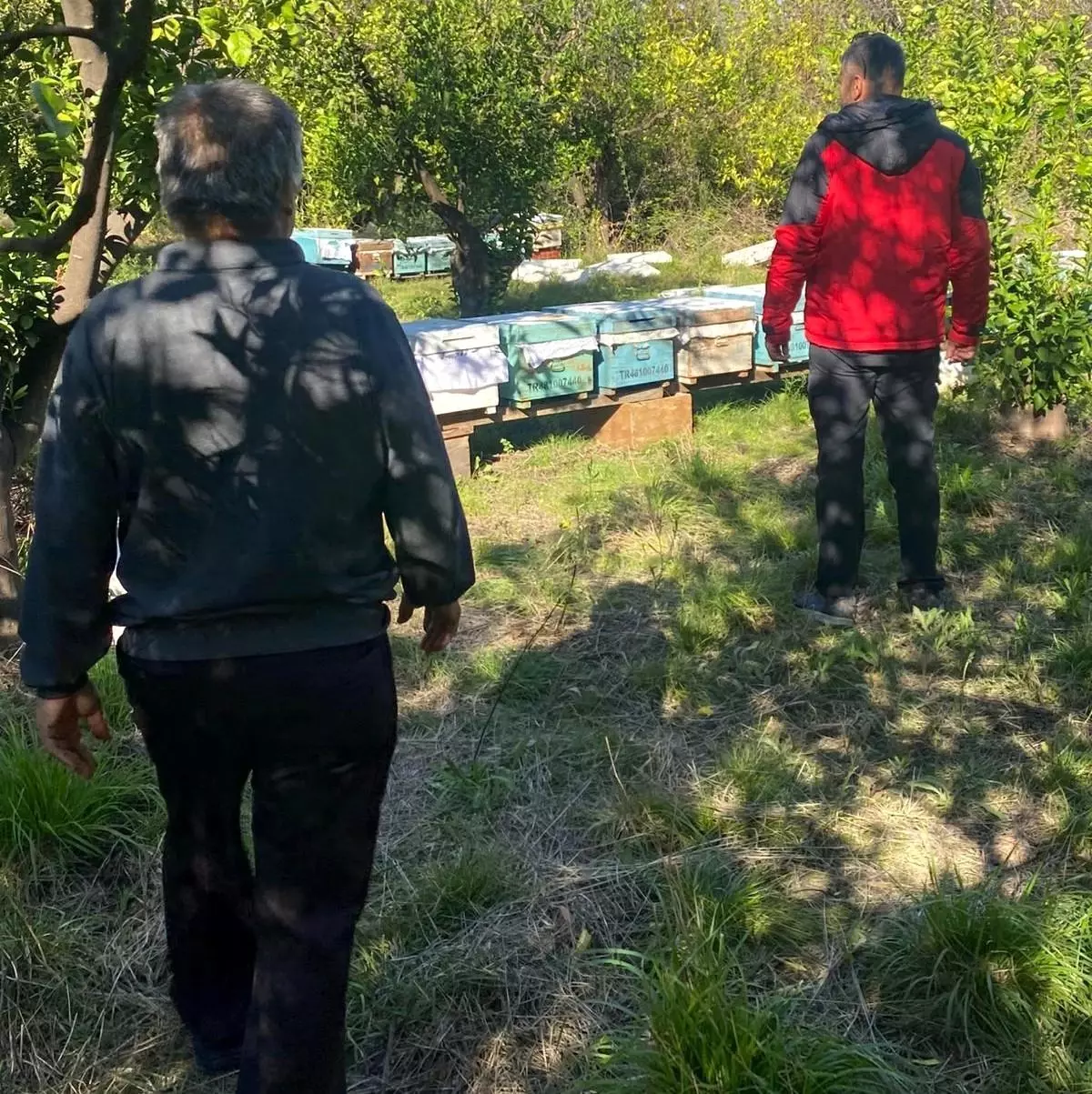 Ortaca'da Arı Kovanı Tespit Çalışmaları