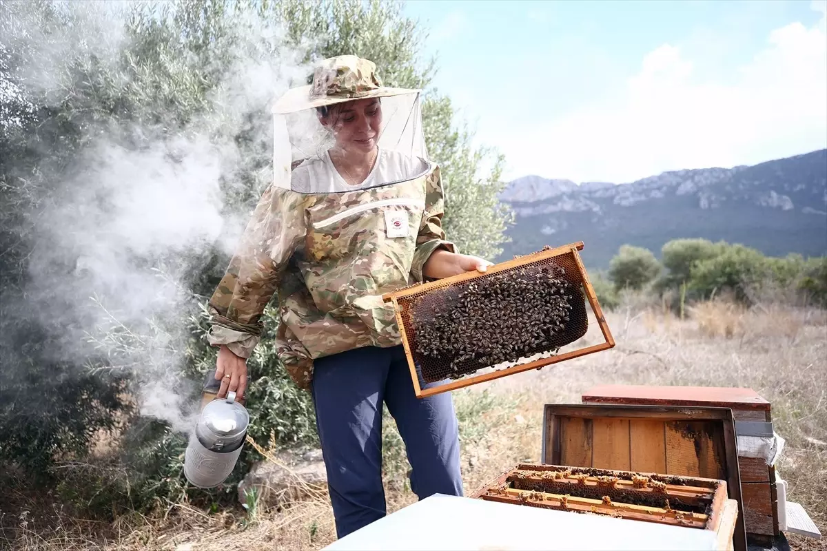 Kadın Arıcı Metanet Çelik'in Başarısı