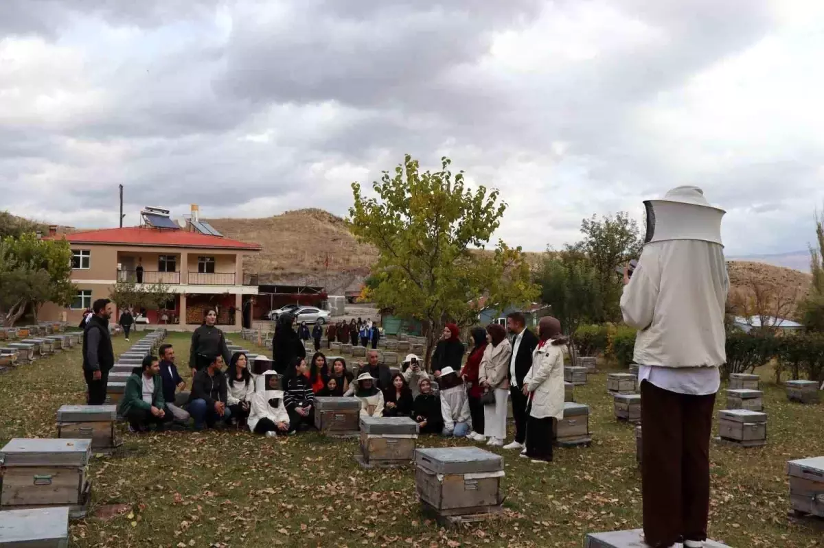 Gençler Arıcılık Kursunu Tamamladı