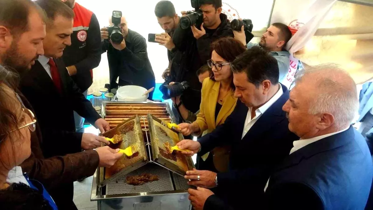 Muğla'da Çam Balı Hasat Şenliği Düzenlendi