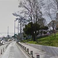 Mysterieuze bijenkorven in park met uitzicht op de Bosporus in Istanbul roept vragen op Nieuws…