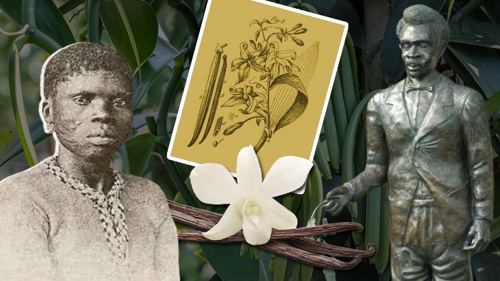 Life Vanilla spilled from the fingers of a child slave