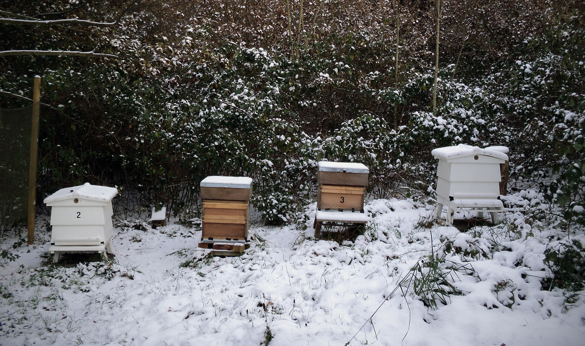 Die Bienenstöcke nach dem Winter öffnen – Mother Earth News Die heutigen Imker stehen vor…