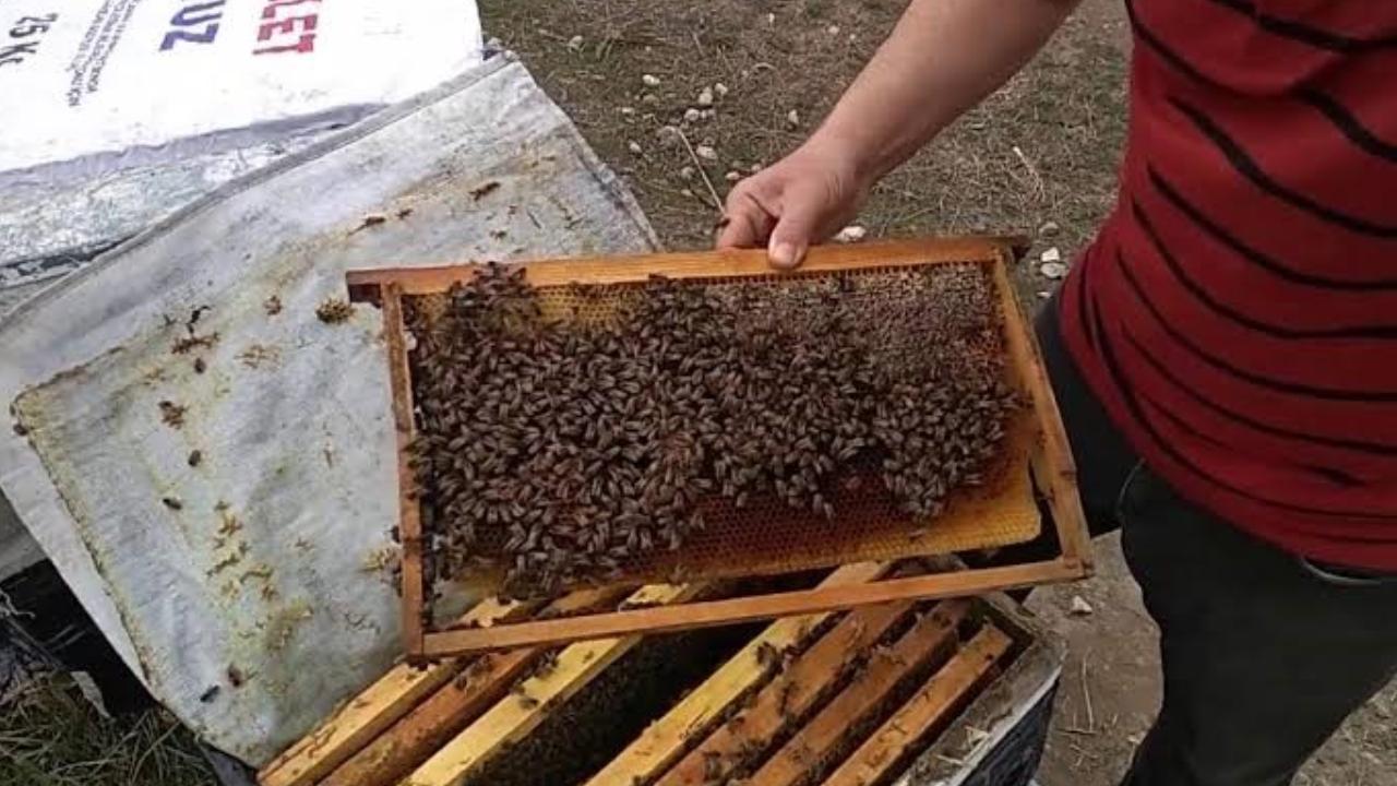Актуально KAYNAKAA HABER GİRİŞ 08.09.2023 16:28 , 08.09.2023 16:29 SON GÜNCELLEME 08.09.2023…