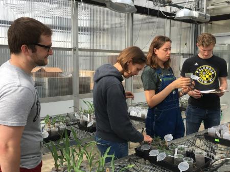 Artikel über die Futterpräferenz des Asiatischen Gartenkäfers veröffentlicht Ein Artikel mit…