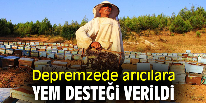 Support Provided to Beekeepers Affected by the Earthquake The distribution of 800 tons of…