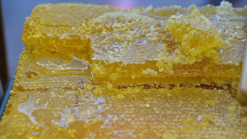Doğu Karadeniz'in bal ihracatı 1,7 milyon doları aştı