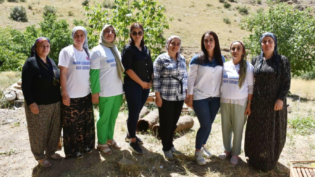 Kooperatif kuran Hakkarili kadınlar, arıcılıkta söz sahibi olmak istiyor