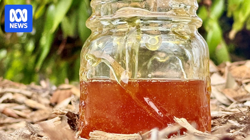 What's really in your jar of supermarket honey?