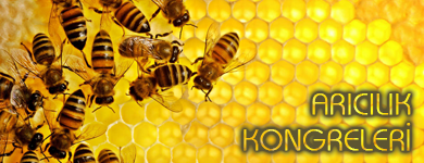 ENTRETIEN SAISONNIER EN APICULTURE Entretien et Contrôle de Printemps L'objectif des examens…