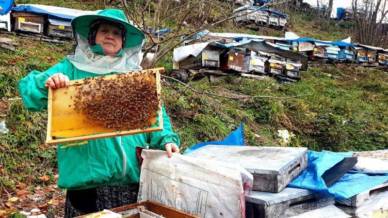 Genç yaşta babasını kaybedince ömrünü kardeşlerine adadı; arıcılık yapıp hepsini okuttu