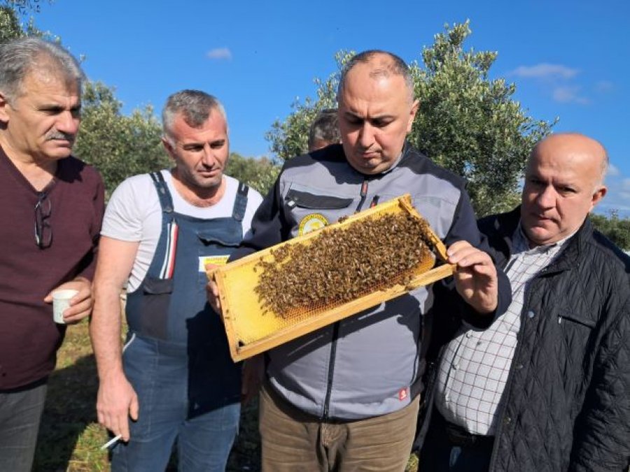 Новости пчеловодства ИСТАТИСТИКА ПЧЕЛОВОДСТВА В ТУРЦИИ ЗА 2025 ГОД ПО РЕГИОНАМ 24 февраля 2026…