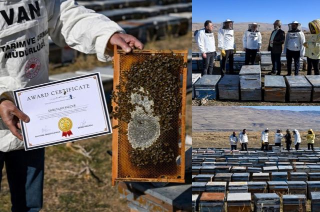 The organic honey produced in the Gürpınar district of Van won a gold medal at the…