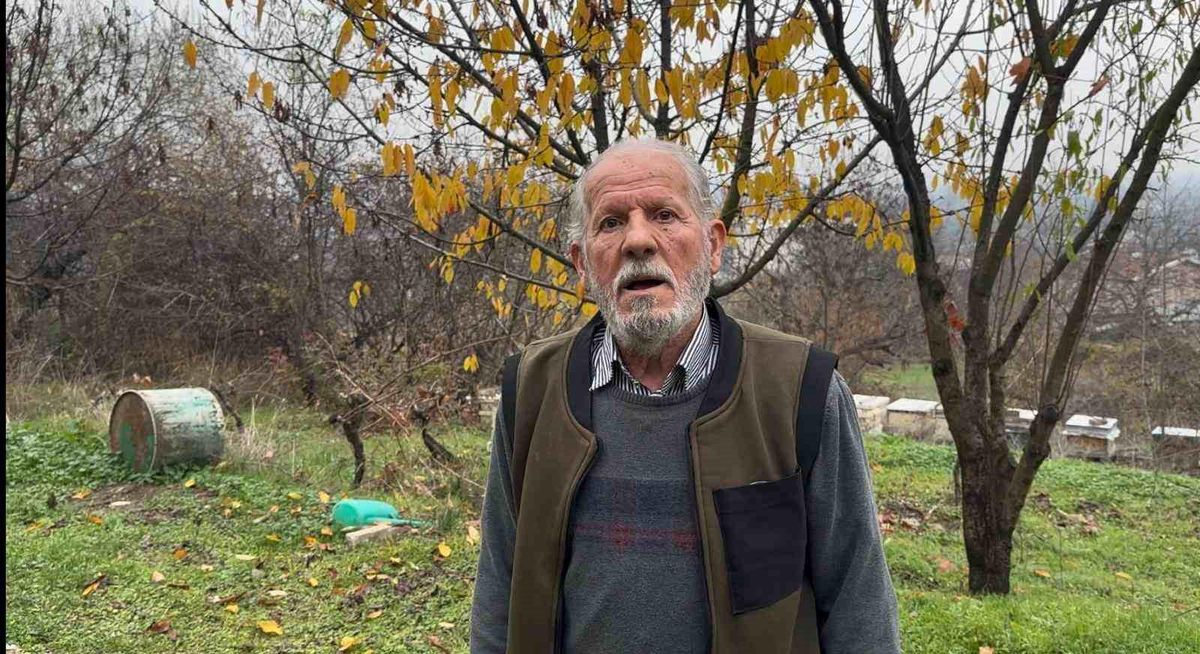 Zeynullah Soylu, a 75-year-old professional beekeeper in Bursa, stated that millions of his…