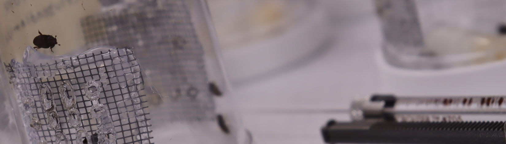 Mise à jour de la recherche : Évaluation de la toxicité des insecticides connus comme sûrs…