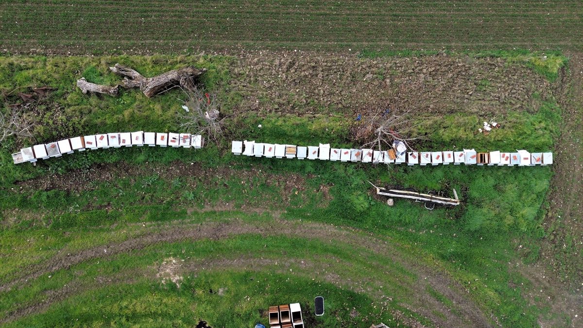 "Que tout le monde ait une ruche dans notre village" est un projet qui a permis de distribuer…