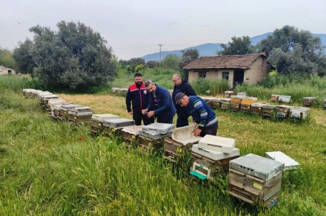 Les inspections annuelles ont été complétées dans 5 entreprises produisant des reines…