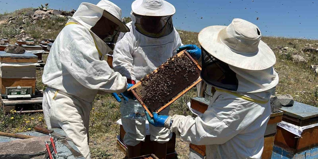 Yalçın Kartarı, who has been teaching in the city for 40 years, continues his beekeeping…