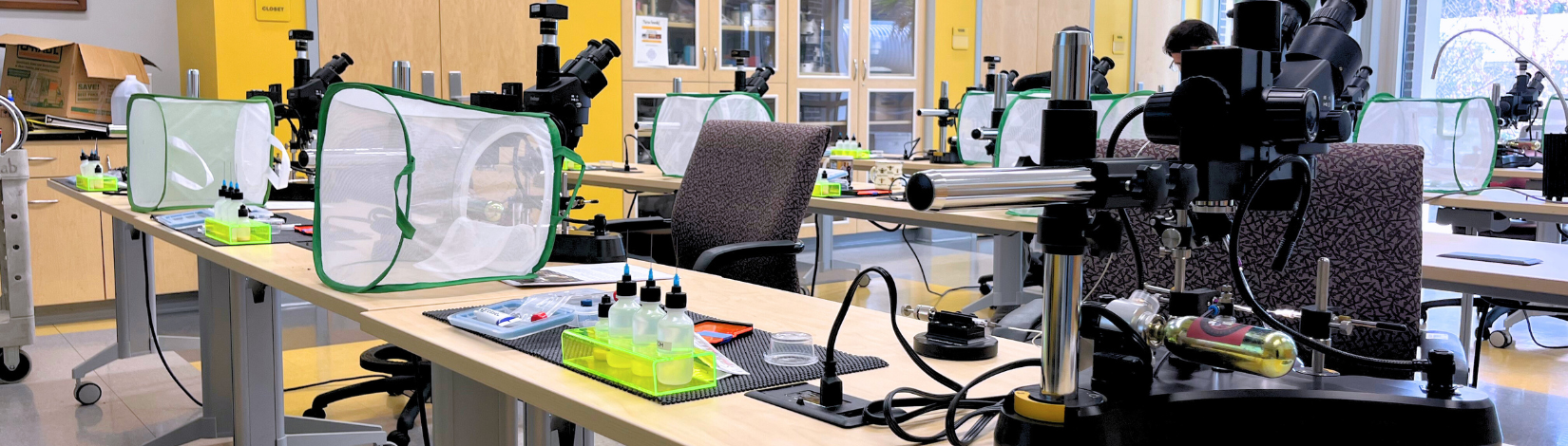 Versterking van Honingbijenkolonies door Instrumentele Inseminatie van de Koningin Achtergrond…