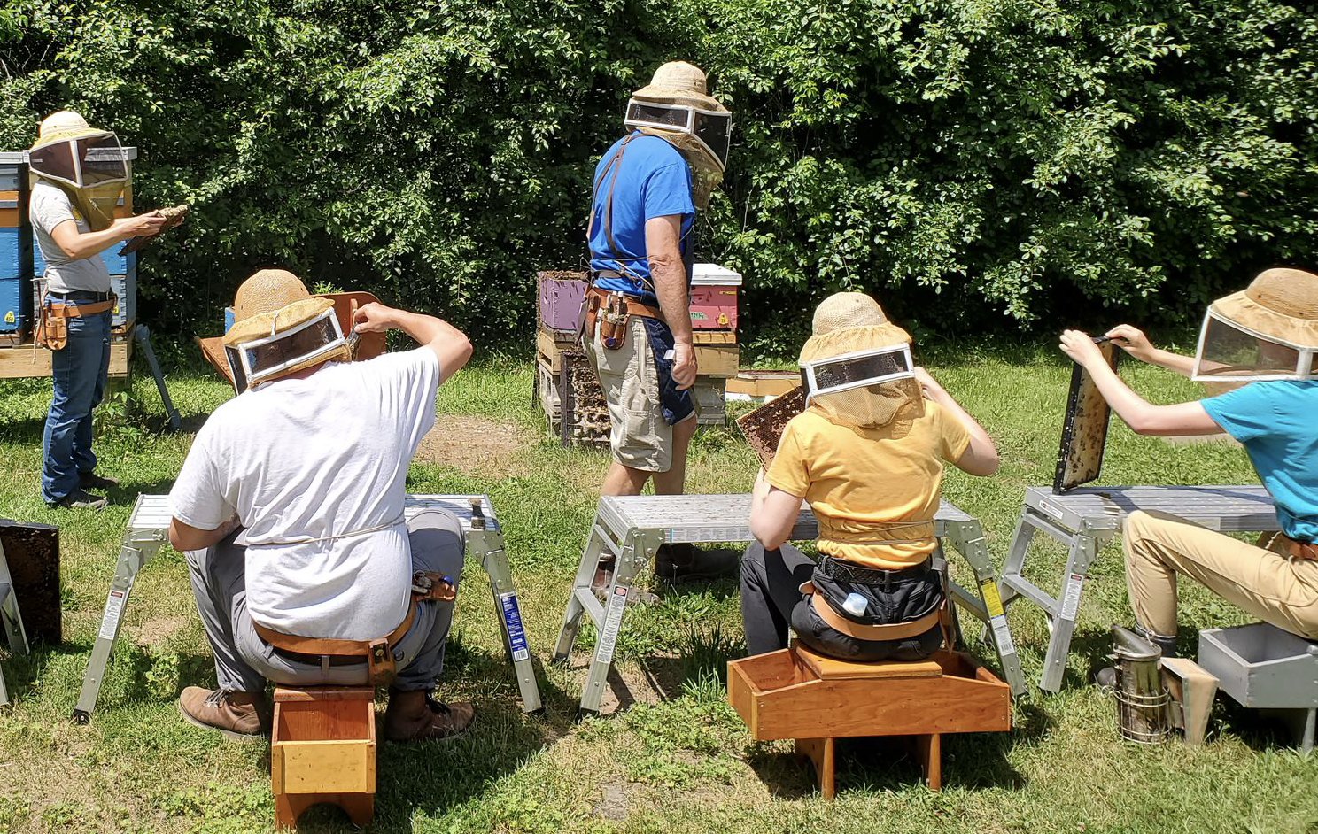 Research Brief: Prebiotics and probiotics can reduce Nosema Ceranae infections and increase populations in honey bee colonies.