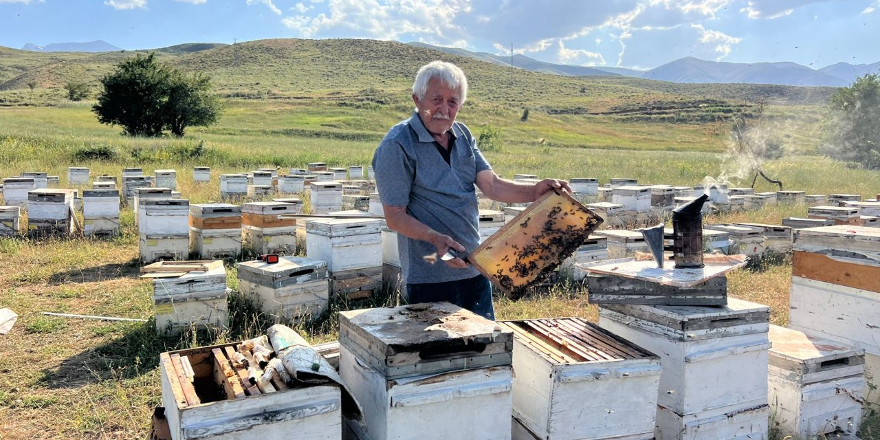 Kenan Çelek, a 78-year-old from Dörtyol district of Hatay, has been engaged in beekeeping for…